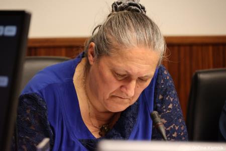 3. redna seja Občinskega sveta Občine Kamnik (16)